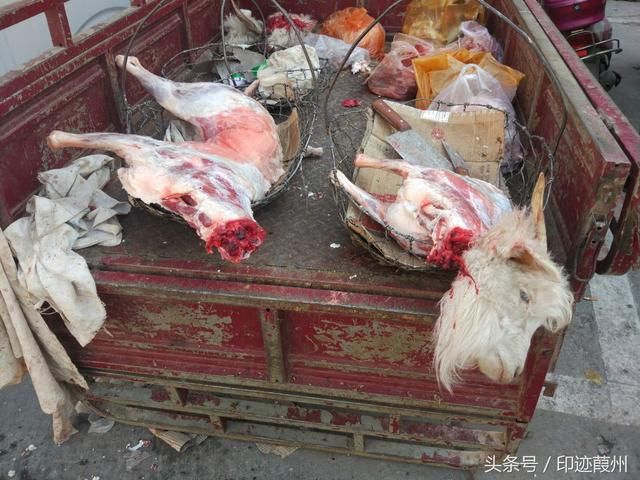 看中羊头卖狗肉，生肖当属龙猴鸡打一正确生肖,警惕虚假宣传,构建解答解释落实
